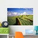 Hawaii, Maui, Pukalani, Pineapple Fields Stretch Out To The Horizon Wall Mural