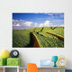 Hawaii, Maui, Pukalani, Pineapple Fields Stretch Out To The Horizon Wall Mural