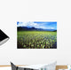 Scenic Mountains And Blue Sky Wall Mural