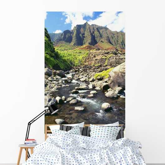 Stream Coming Down From The Kalalau Mountains Wall Mural