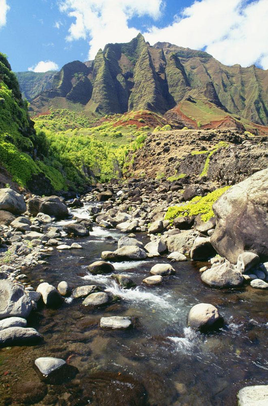 Stream Coming Down From The Kalalau Mountains Wall Mural