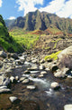 Stream Coming Down From The Kalalau Mountains Wall Mural