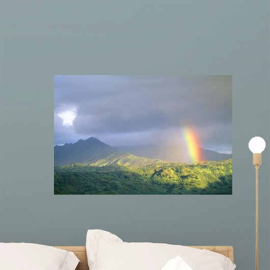 Large Gray Clouds Wall Mural