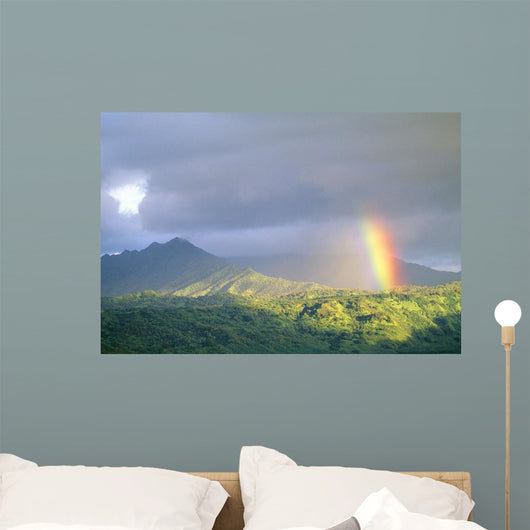 Large Gray Clouds Wall Mural