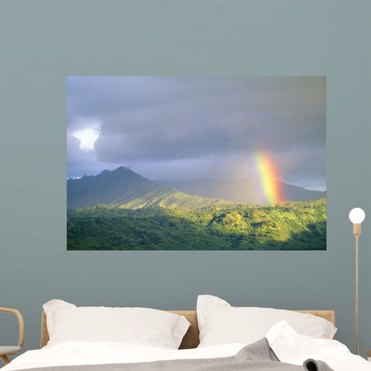 Large Gray Clouds Wall Mural