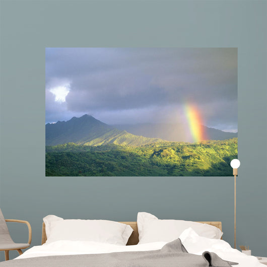 Large Gray Clouds Wall Mural
