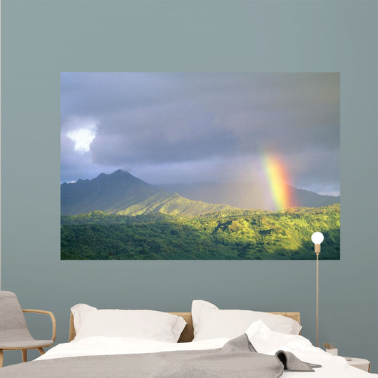 Large Gray Clouds Wall Mural