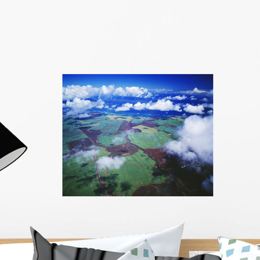 Hawaii, Maui, Aerial View Of Sugarcane Fields In Central Maui Wall Mural