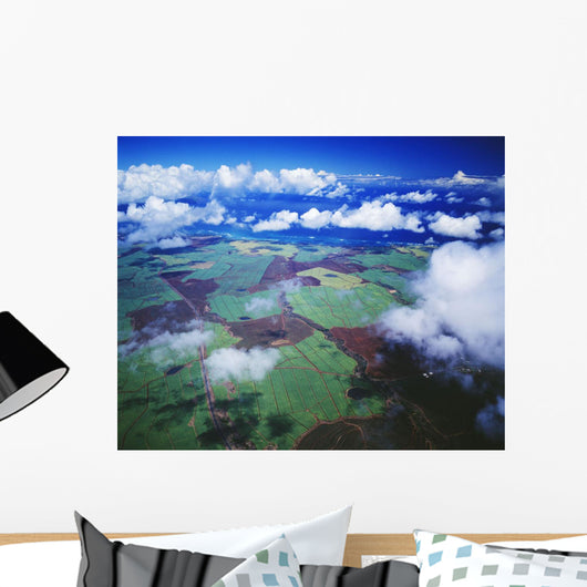 Hawaii, Maui, Aerial View Of Sugarcane Fields In Central Maui Wall Mural