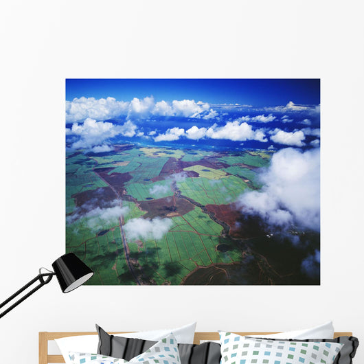 Hawaii, Maui, Aerial View Of Sugarcane Fields In Central Maui Wall Mural
