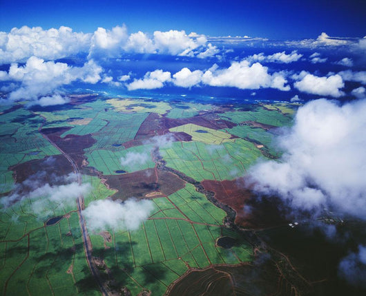 Hawaii, Maui, Aerial View Of Sugarcane Fields In Central Maui Wall Mural