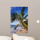 Hawaii, Coconut Laying On A Sandy Tropical Beach Beneath A Palm Tree Wall Mural