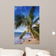 Hawaii, Coconut Laying On A Sandy Tropical Beach Beneath A Palm Tree Wall Mural