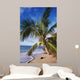 Hawaii, Coconut Laying On A Sandy Tropical Beach Beneath A Palm Tree Wall Mural