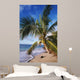 Hawaii, Coconut Laying On A Sandy Tropical Beach Beneath A Palm Tree Wall Mural