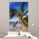 Hawaii, Coconut Laying On A Sandy Tropical Beach Beneath A Palm Tree Wall Mural