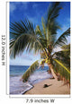 Hawaii, Coconut Laying On A Sandy Tropical Beach Beneath A Palm Tree Wall Mural