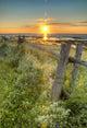 Sunset Over Water And A Fence Along The Shoreline Wall Mural