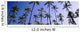 Hawaii, Kauai, Coconut Grove At Wailua, Panoramic Wall Mural