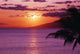 Hawaii, Maui, Beautiful Tropical Sunset With Palm Tree Wall Mural