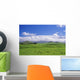 View Of Snowcapped Mauna Kea From Lush Rolling Hills Below Wall Mural