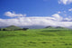 View Of Snowcapped Mauna Kea From Lush Rolling Hills Below Wall Mural