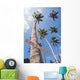 Fiji, Vanua Levu, Tall Coconut Trees And Sign Beware Of Falling Nuts Wall Mural