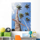 Fiji, Vanua Levu, Tall Coconut Trees And Sign Beware Of Falling Nuts Wall Mural