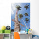 Fiji, Vanua Levu, Tall Coconut Trees And Sign Beware Of Falling Nuts Wall Mural