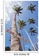 Fiji, Vanua Levu, Tall Coconut Trees And Sign Beware Of Falling Nuts Wall Mural