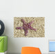 Close-Up Of Purple Starfish Seen Through Crystal Clear Rippling Water Wall Mural