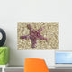 Close-Up Of Purple Starfish Seen Through Crystal Clear Rippling Water Wall Mural