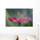 Close-Up Of Beautiful Bright Pink Hibiscus Wall Mural