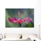 Close-Up Of Beautiful Bright Pink Hibiscus Wall Mural