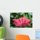 Close-Up Of Beautiful Bright Pink Hibiscus Wall Mural
