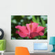 Close-Up Of Beautiful Bright Pink Hibiscus Wall Mural
