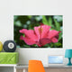 Close-Up Of Beautiful Bright Pink Hibiscus Wall Mural