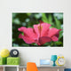 Close-Up Of Beautiful Bright Pink Hibiscus Wall Mural