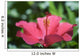 Close-Up Of Beautiful Bright Pink Hibiscus Wall Mural