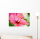 Close-Up Of Beautiful Bright Pink Hibiscus Wall Mural