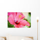 Close-Up Of Beautiful Bright Pink Hibiscus Wall Mural