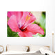 Close-Up Of Beautiful Bright Pink Hibiscus Wall Mural