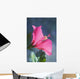 Close-Up Of Beautiful Bright Pink Hibiscus Wall Mural