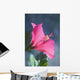 Close-Up Of Beautiful Bright Pink Hibiscus Wall Mural