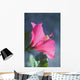 Close-Up Of Beautiful Bright Pink Hibiscus Wall Mural