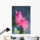 Close-Up Of Beautiful Bright Pink Hibiscus Wall Mural
