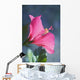 Close-Up Of Beautiful Bright Pink Hibiscus Wall Mural