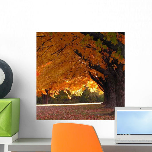 Trees Fall Wall Decal