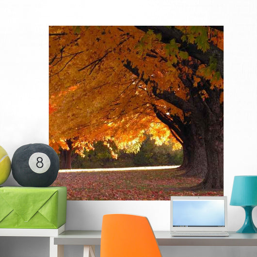 Trees Fall Wall Decal