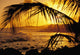 Hawaii, Kauai, Poipu, Tropical Sunset With Palm Fronds Wall Mural